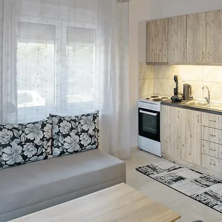 Apartment Downtown 1 *